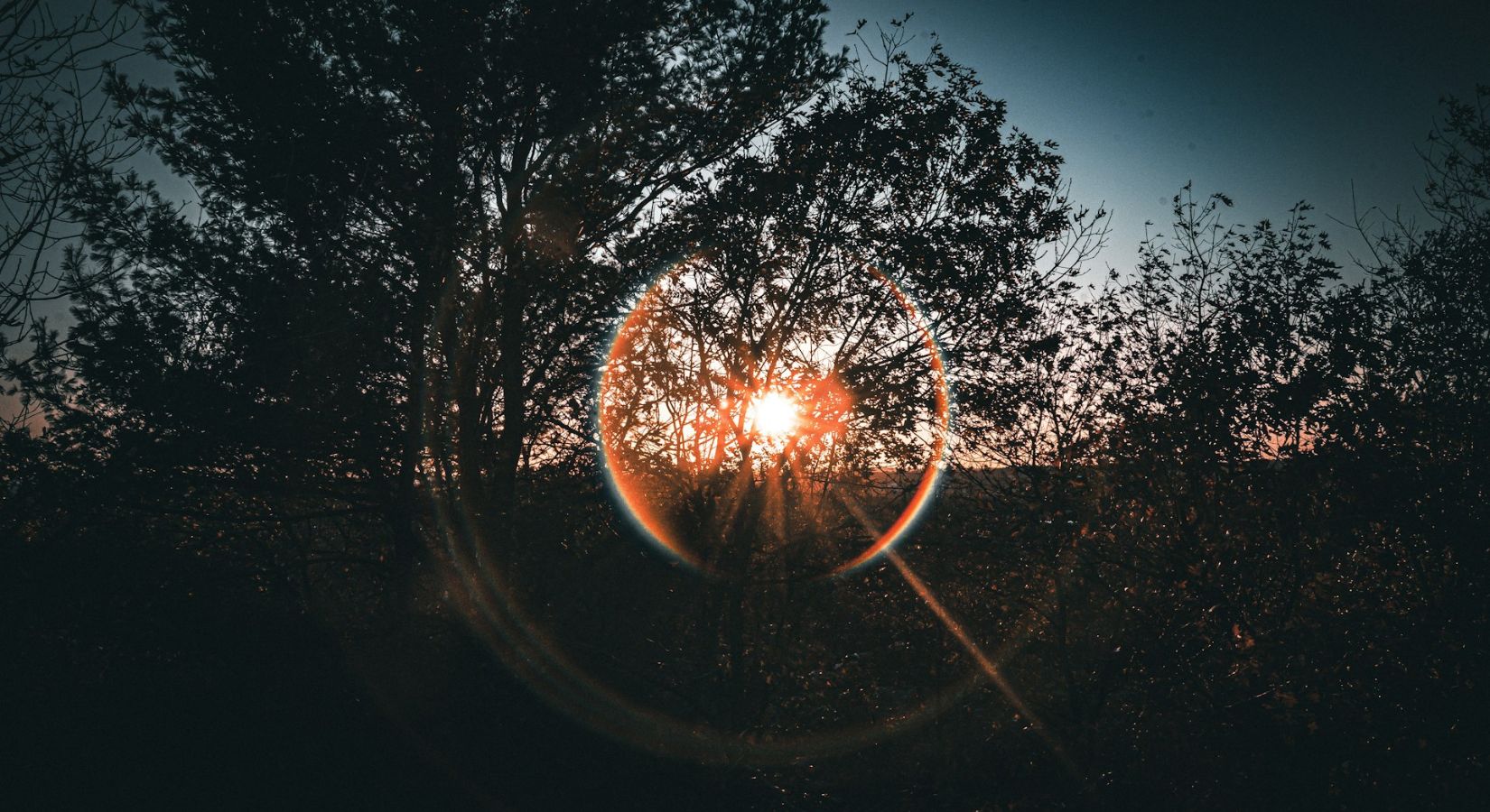 カメラ撮影におけるフレアとゴーストとは?必ずしも悪ではない光の反射を使いこなす