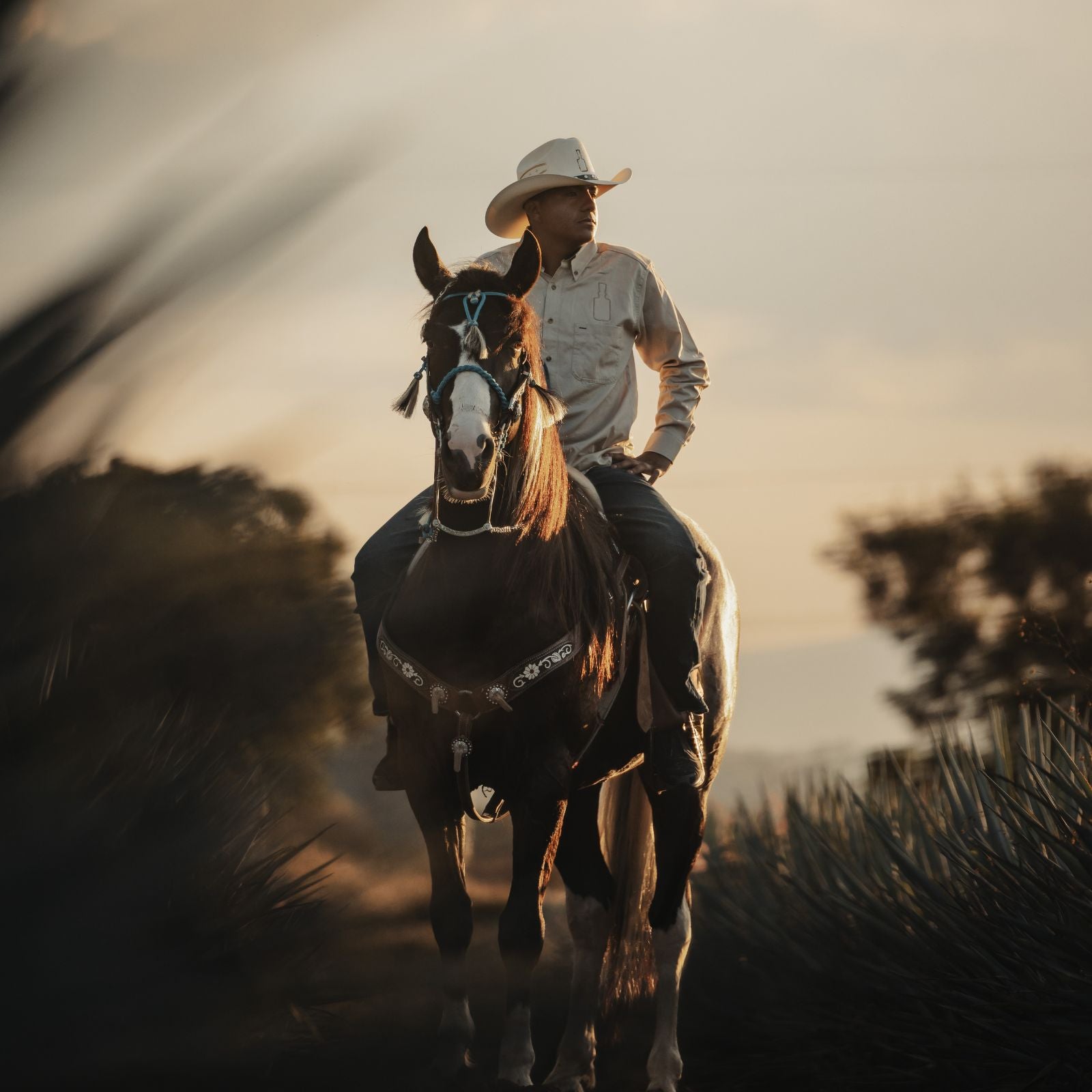 PolarPro Goldstache フィルター