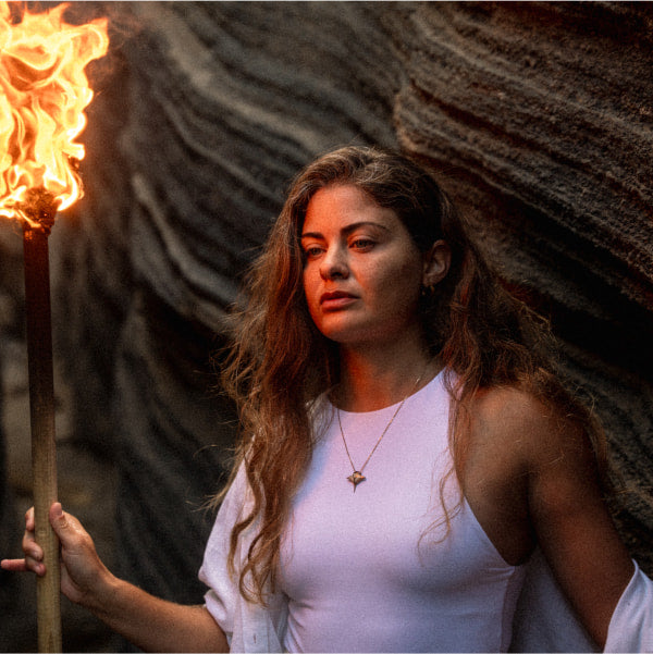 PolarPro LiteChaser 15/16/17 VND2-5 Black Mistフィルター