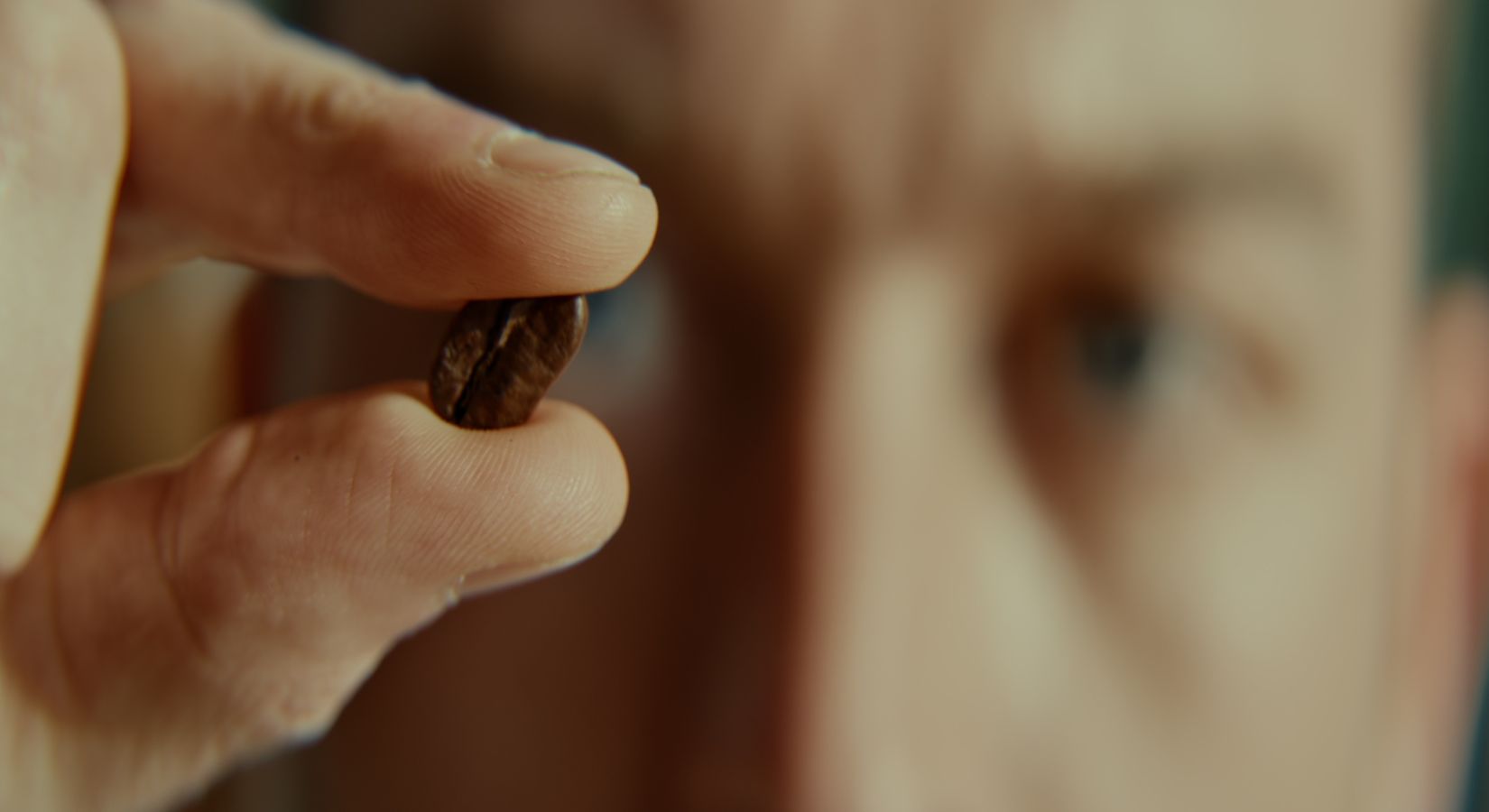 クローズアップフィルターとは？レンズ交換なしで手軽にマクロ撮影