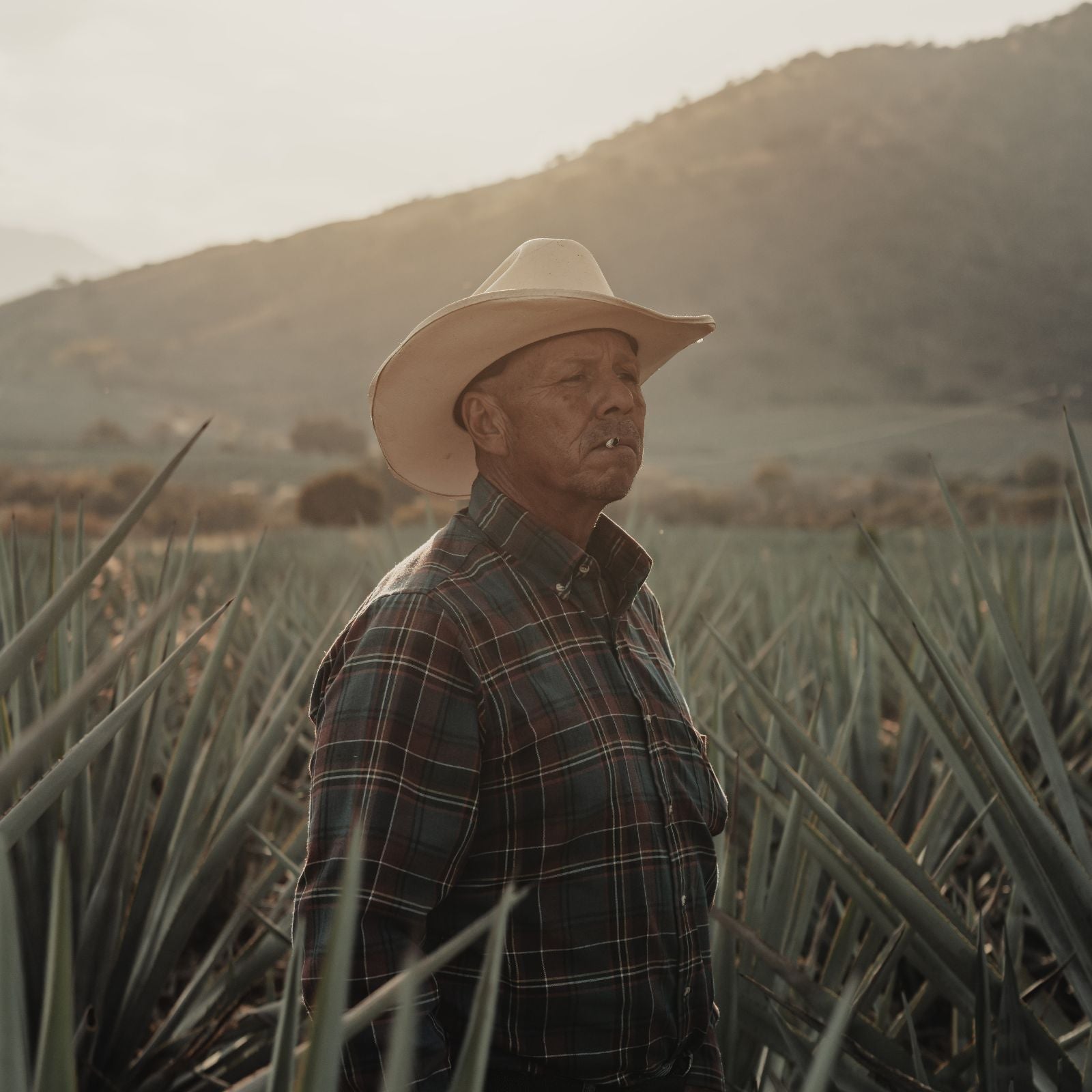 PolarPro Goldstache フィルター